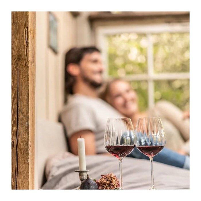 Sklenice na červené víno WINESHINE 613 ml