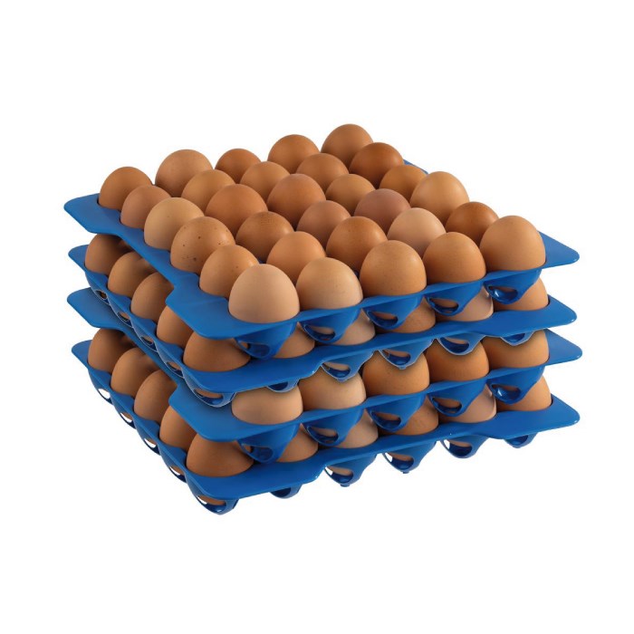 Plato na vejce do boxu 4 ks